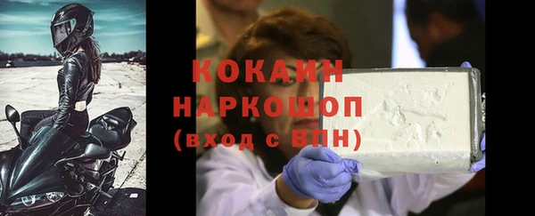 гашик Губаха