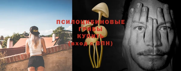 амф Няндома